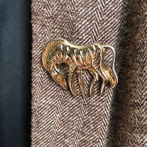 Zebra Horse Golden Brooch 🦓